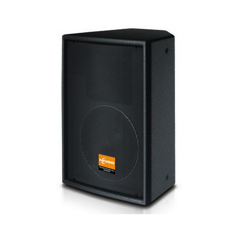 10寸專業(yè)會議音箱AQ-10